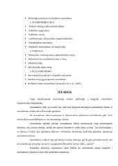 Susirinkimų organizavimas ir planavimas 13 puslapis