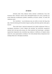 Susirinkimų organizavimas ir planavimas 2 puslapis