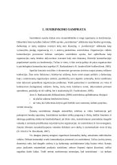 Susirinkimų organizavimas ir planavimas 3 puslapis