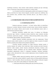 Susirinkimų organizavimas ir planavimas 4 puslapis