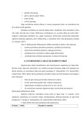 Susirinkimų organizavimas ir planavimas 6 puslapis