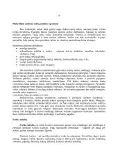 Sveika mityba 3 puslapis