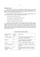 Sveika mityba 5 puslapis