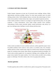 Sveikos mitybos piramidė, maisto medžiagos ir jodas 3 puslapis
