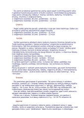 Projektas "Sveika mityba" 13 puslapis