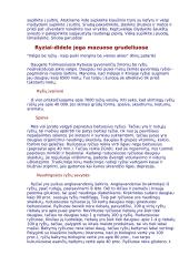 Projektas "Sveika mityba" 16 puslapis