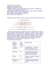 Projektas "Sveika mityba" 3 puslapis