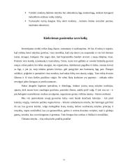 Sveika mityba ir mitybos problemos 15 puslapis