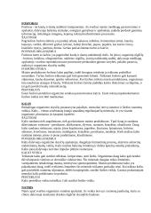 Sveikata ir sveikos mitybos principai 15 puslapis