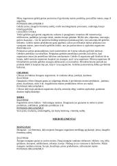 Sveikata ir sveikos mitybos principai 17 puslapis