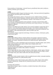 Sveikata ir sveikos mitybos principai 19 puslapis