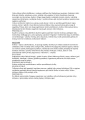 Sveikata ir sveikos mitybos principai 20 puslapis