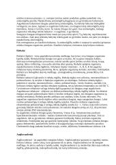 Sveikata ir sveikos mitybos principai 7 puslapis