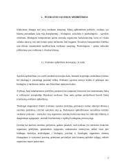 Sveikatos apibrėžimo modeliai 2 puslapis