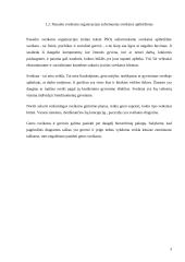 Sveikatos apibrėžimo modeliai 3 puslapis