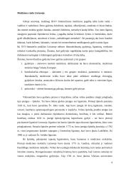 Medicinos bei sveikatos apsauga Lietuvoje 4 puslapis