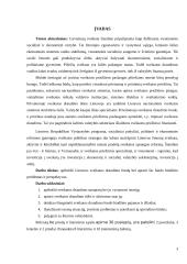 Sveikatos draudimo fondo biudžetas ir jo problemos 2 puslapis