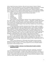 Sveikatos priežiūros finansavimas bei jo reforma Lietuvoje 5 puslapis