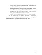 Sveikatos priežiūros įstaigose dirbančių slaugytojų patiriamas stresas 11 puslapis