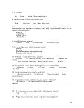 Sveikatos priežiūros įstaigose dirbančių slaugytojų patiriamas stresas 17 puslapis