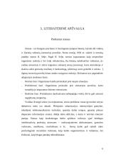 Sveikatos priežiūros įstaigose dirbančių slaugytojų patiriamas stresas 5 puslapis