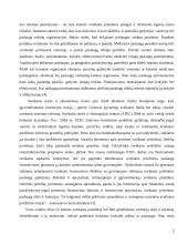 Sveikatos paslaugų prieinamumas bei priežiūros kokybė 4 puslapis