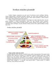 Sveikos mitybos įpročiai ir piramidė 8 puslapis