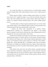 Sveikos mitybos principai 2 puslapis