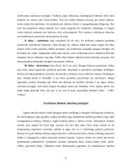 Sveikos mitybos principai 7 puslapis