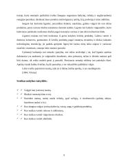 Sveikos mitybos principai 8 puslapis