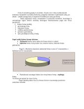 Šeimos formos 3 puslapis