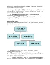 Šeimos formos 6 puslapis