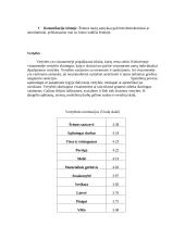 Šeimos formos 9 puslapis