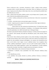 Šeima kaip institucija 3 puslapis