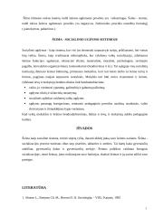 Šeima kaip institucija 5 puslapis