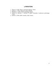 Šeima. Krizės šeimoje 17 puslapis