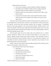 Šeima. Krizės šeimoje 6 puslapis