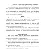 Šeima. Krizės šeimoje 8 puslapis