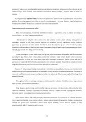 Šeimos modelis 12 puslapis