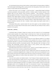 Šeimos modelis 14 puslapis