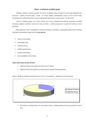 Šeimos modelis 3 puslapis