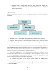 Šeimos modelis 6 puslapis