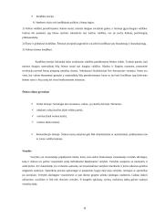 Šeimos modelis 8 puslapis