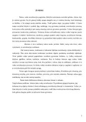 Šeimos vaidmuo vaiko socializacijoje 2 puslapis