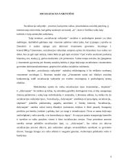 Šeimos vaidmuo vaiko socializacijoje 3 puslapis