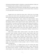 Šešėlinės ekonomikos funkcionavimas 2 puslapis