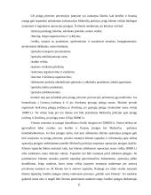 Šešėlinės ekonomikos funkcionavimas 11 puslapis