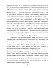 Šešėlinės ekonomikos funkcionavimas 14 puslapis