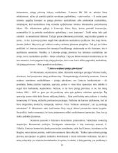 Šešėlinės ekonomikos funkcionavimas 16 puslapis