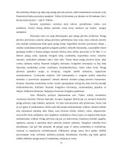 Šešėlinės ekonomikos funkcionavimas 17 puslapis